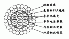 W7PFAPP-12.04mm氟塑料PFA绝缘双钢丝铠装承荷探测电缆