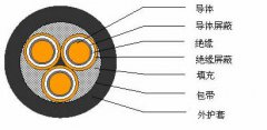 3*2.5，3*3，3*4，3*6，3*10，3*16，3*25屏蔽电缆结构图