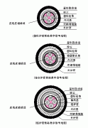 PVYV,PTYY,PTY22,PTY23铁路信号电缆