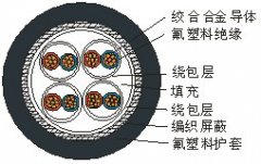 热电偶专用高温测量电缆线AKFFPXR200,ANFFPXR200