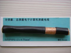 DJYPVP 2*2*0.75 分屏蔽、总屏蔽电子计算机屏蔽电缆