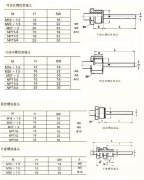 轴向型双金属温度计WSS-401