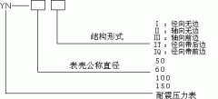 YN-60/YN-100抗/防/耐震压力表